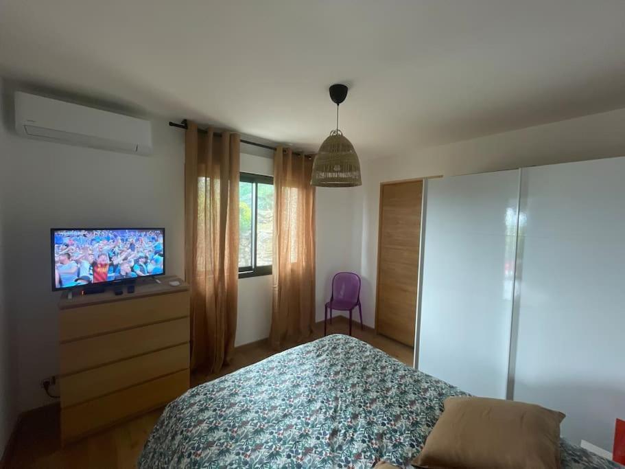 Le Cap Apartment San-Martino-di-Lota Exterior photo